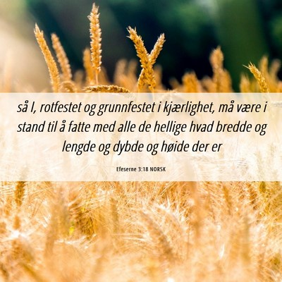 Picture 06 - Efeserne 3:18 NORSK - så I, rotfestet og grunnfestet i kjærlighet, - Bible Verse Picture