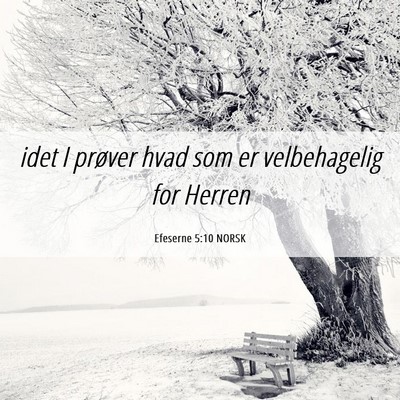 Picture 06 - Efeserne 5:10 NORSK - idet I prøver hvad som er velbehagelig for - Bible Verse Picture