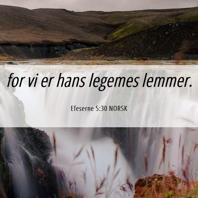 Picture 06 - Efeserne 5:30 NORSK - for vi er hans legemes - Bible Verse Picture