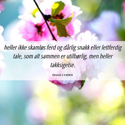 Picture 06 - Efeserne 5:4 NORSK - heller ikke skamløs ferd og dårlig snakk eller - Bible Verse Picture