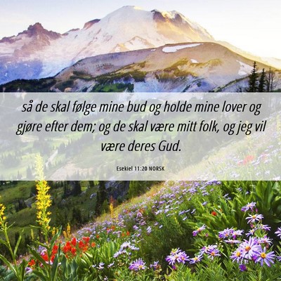 Picture 06 - Esekiel 11:20 NORSK - så de skal følge mine bud og holde mine lover - Bible Verse Picture