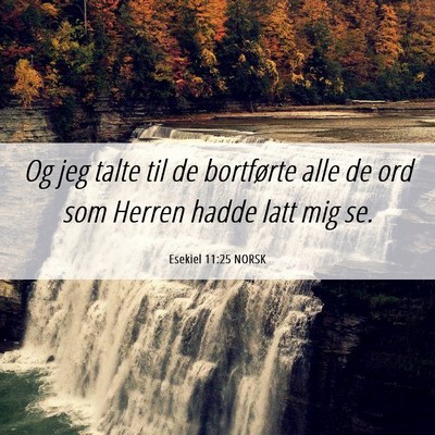 Picture 06 - Esekiel 11:25 NORSK - Og jeg talte til de bortførte alle de ord som - Bible Verse Picture
