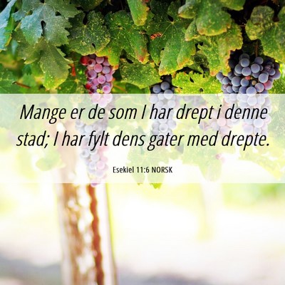Picture 06 - Esekiel 11:6 NORSK - Mange er de som I har drept i denne stad; I har - Bible Verse Picture
