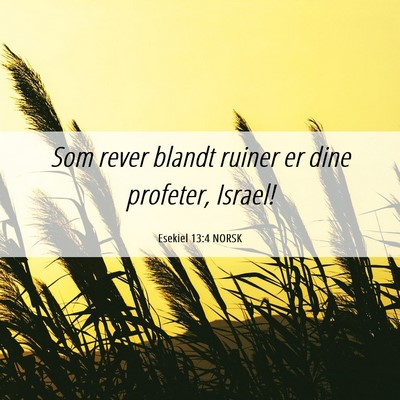 Picture 06 - Esekiel 13:4 NORSK - Som rever blandt ruiner er dine profeter, - Bible Verse Picture