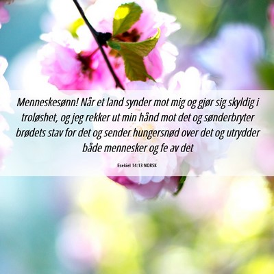 Picture 06 - Esekiel 14:13 NORSK - Menneskesønn! Når et land synder mot mig og - Bible Verse Picture