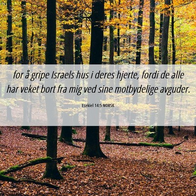Picture 06 - Esekiel 14:5 NORSK - for å gripe Israels hus i deres hjerte, fordi de - Bible Verse Picture
