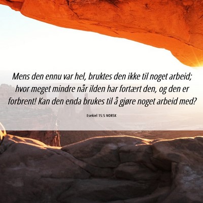 Picture 06 - Esekiel 15:5 NORSK - Mens den ennu var hel, bruktes den ikke til noget - Bible Verse Picture