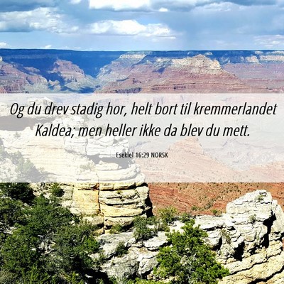 Picture 06 - Esekiel 16:29 NORSK - Og du drev stadig hor, helt bort til - Bible Verse Picture