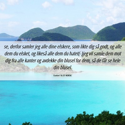 Picture 06 - Esekiel 16:37 NORSK - se, derfor samler jeg alle dine elskere, som - Bible Verse Picture
