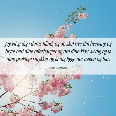 Picture 06 - Esekiel 16:39 NORSK - Jeg vil gi dig i deres hånd, og de skal rive din - Bible Verse Picture