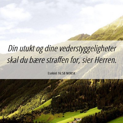 Picture 06 - Esekiel 16:58 NORSK - Din utukt og dine vederstyggeligheter skal du - Bible Verse Picture