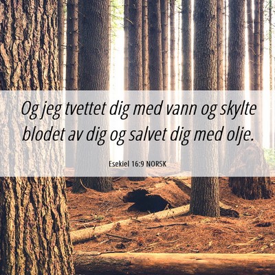 Picture 06 - Esekiel 16:9 NORSK - Og jeg tvettet dig med vann og skylte blodet av - Bible Verse Picture