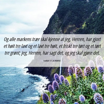 Picture 06 - Esekiel 17:24 NORSK - Og alle markens trær skal kjenne at jeg, Herren, - Bible Verse Picture