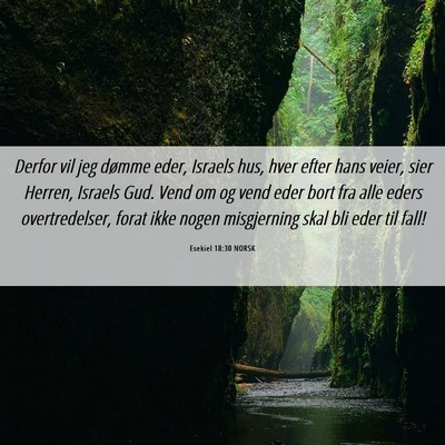 Picture 06 - Esekiel 18:30 NORSK - Derfor vil jeg dømme eder, Israels hus, hver - Bible Verse Picture