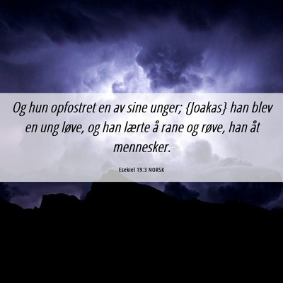 Picture 06 - Esekiel 19:3 NORSK - Og hun opfostret en av sine unger; {Joakas} han - Bible Verse Picture