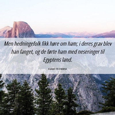 Picture 06 - Esekiel 19:4 NORSK - Men hedningefolk fikk høre om ham; i deres grav - Bible Verse Picture