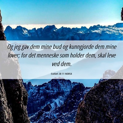 Picture 06 - Esekiel 20:11 NORSK - Og jeg gav dem mine bud og kunngjorde dem mine - Bible Verse Picture