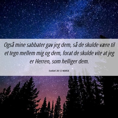 Picture 06 - Esekiel 20:12 NORSK - Også mine sabbater gav jeg dem, så de skulde - Bible Verse Picture