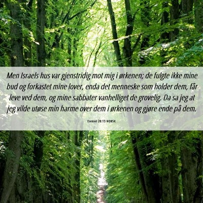 Picture 06 - Esekiel 20:13 NORSK - Men Israels hus var gjenstridig mot mig i - Bible Verse Picture
