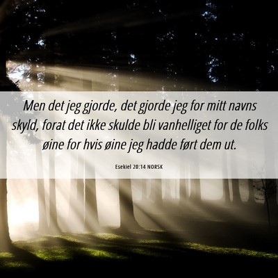 Picture 06 - Esekiel 20:14 NORSK - Men det jeg gjorde, det gjorde jeg for mitt navns - Bible Verse Picture