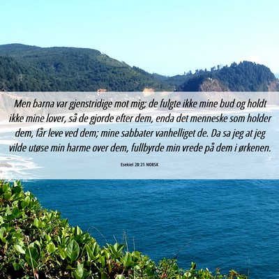 Picture 06 - Esekiel 20:21 NORSK - Men barna var gjenstridige mot mig; de fulgte - Bible Verse Picture