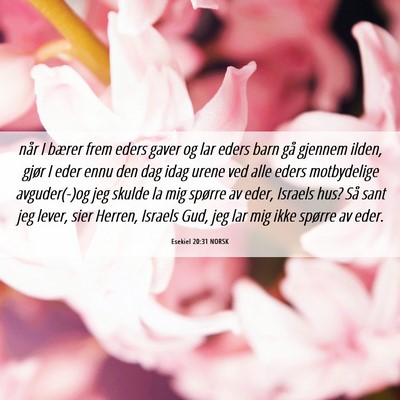Picture 06 - Esekiel 20:31 NORSK - når I bærer frem eders gaver og lar eders barn - Bible Verse Picture