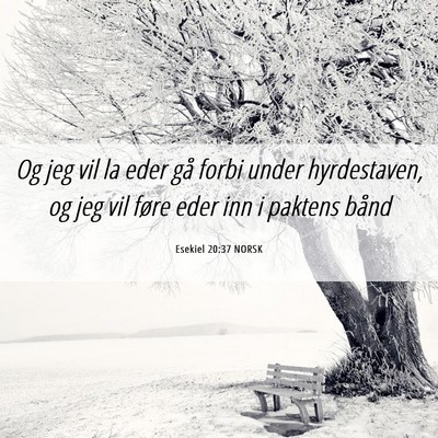 Picture 06 - Esekiel 20:37 NORSK - Og jeg vil la eder gå forbi under hyrdestaven, - Bible Verse Picture