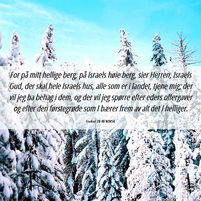 Picture 06 - Esekiel 20:40 NORSK - For på mitt hellige berg, på Israels høie - Bible Verse Picture