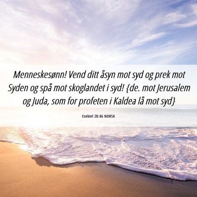Picture 06 - Esekiel 20:46 NORSK - Menneskesønn! Vend ditt åsyn mot syd og prek - Bible Verse Picture