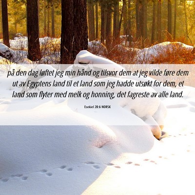 Picture 06 - Esekiel 20:6 NORSK - på den dag løftet jeg min hånd og tilsvor dem - Bible Verse Picture