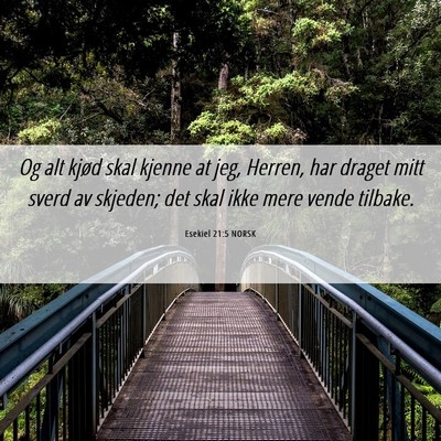 Picture 06 - Esekiel 21:5 NORSK - Og alt kjød skal kjenne at jeg, Herren, har - Bible Verse Picture