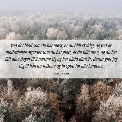 Picture 06 - Esekiel 22:4 NORSK - Ved det blod som du har utøst, er du blitt - Bible Verse Picture