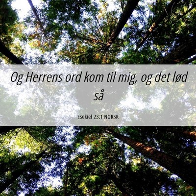 Picture 06 - Esekiel 23:1 NORSK - Og Herrens ord kom til mig, og det lød - Bible Verse Picture