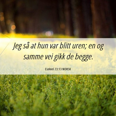 Picture 06 - Esekiel 23:13 NORSK - Jeg så at hun var blitt uren; en og samme vei - Bible Verse Picture