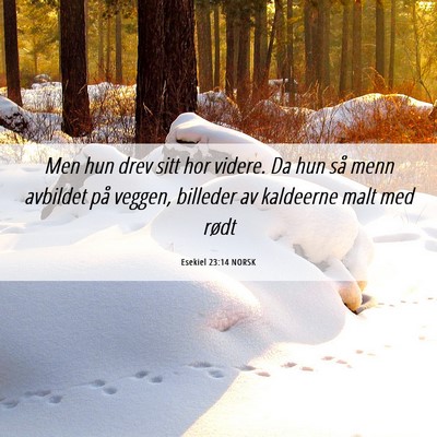 Picture 06 - Esekiel 23:14 NORSK - Men hun drev sitt hor videre. Da hun så menn - Bible Verse Picture