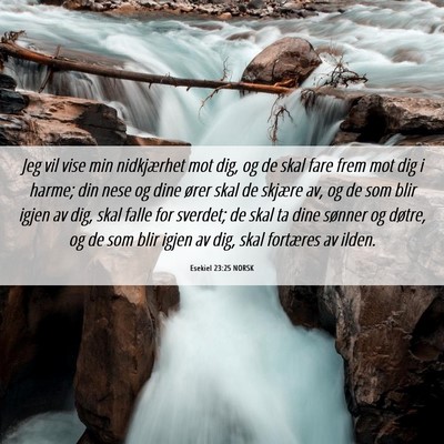 Picture 06 - Esekiel 23:25 NORSK - Jeg vil vise min nidkjærhet mot dig, og de skal - Bible Verse Picture