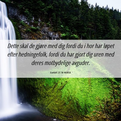 Picture 06 - Esekiel 23:30 NORSK - Dette skal de gjøre med dig fordi du i hor har - Bible Verse Picture