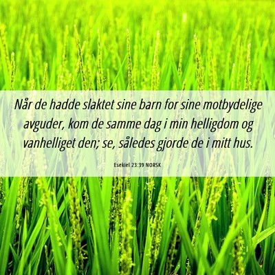 Picture 06 - Esekiel 23:39 NORSK - Når de hadde slaktet sine barn for sine - Bible Verse Picture