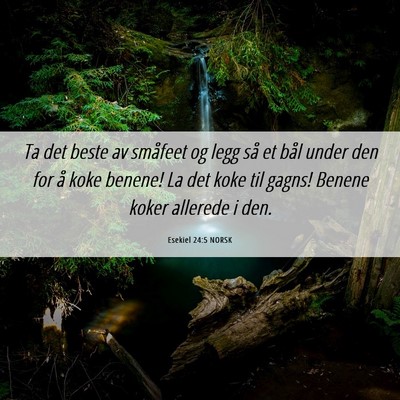Picture 06 - Esekiel 24:5 NORSK - Ta det beste av småfeet og legg så et bål - Bible Verse Picture
