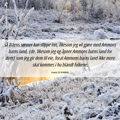 Picture 06 - Esekiel 25:10 NORSK - så ¥stens sønner kan slippe inn, likesom jeg - Bible Verse Picture