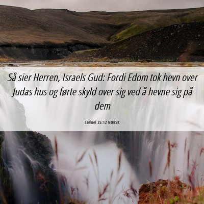 Picture 06 - Esekiel 25:12 NORSK - Så sier Herren, Israels Gud: Fordi Edom tok hevn - Bible Verse Picture