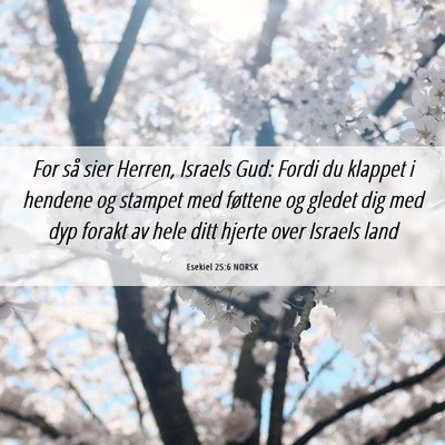 Picture 06 - Esekiel 25:6 NORSK - For så sier Herren, Israels Gud: Fordi du - Bible Verse Picture