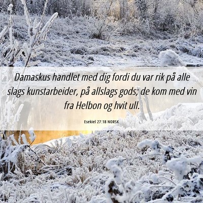 Picture 06 - Esekiel 27:18 NORSK - Damaskus handlet med dig fordi du var rik på - Bible Verse Picture