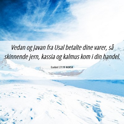 Picture 06 - Esekiel 27:19 NORSK - Vedan og Javan fra Usal betalte dine varer, så - Bible Verse Picture