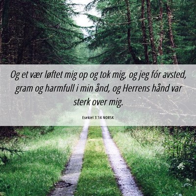 Picture 06 - Esekiel 3:14 NORSK - Og et vær løftet mig op og tok mig, og jeg fór - Bible Verse Picture