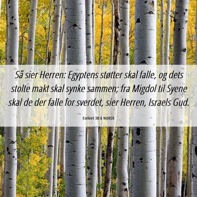 Picture 06 - Esekiel 30:6 NORSK - Så sier Herren: Egyptens støtter skal falle, og - Bible Verse Picture