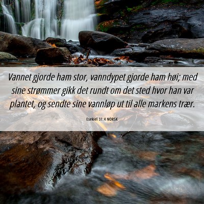 Picture 06 - Esekiel 31:4 NORSK - Vannet gjorde ham stor, vanndypet gjorde ham - Bible Verse Picture