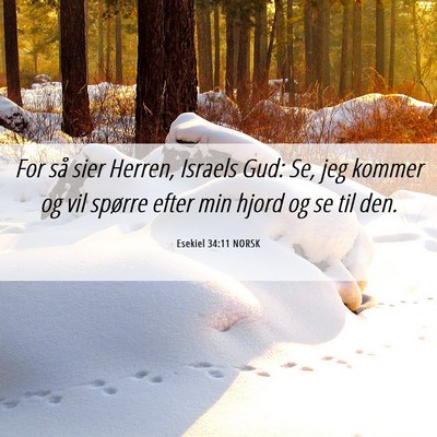 Picture 06 - Esekiel 34:11 NORSK - For så sier Herren, Israels Gud: Se, jeg kommer - Bible Verse Picture