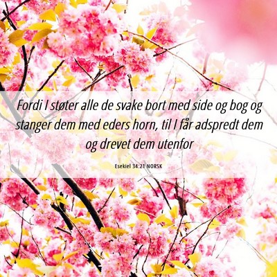 Picture 06 - Esekiel 34:21 NORSK - Fordi I støter alle de svake bort med side og - Bible Verse Picture