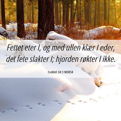 Picture 06 - Esekiel 34:3 NORSK - Fettet eter I, og med ullen klær I eder, det - Bible Verse Picture